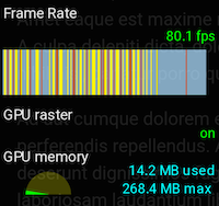 ~80 FPS on Pixel